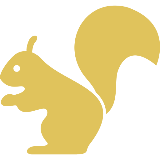 squirrel